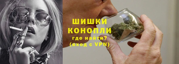 спайс Нея