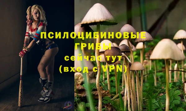 mdma Нефтегорск
