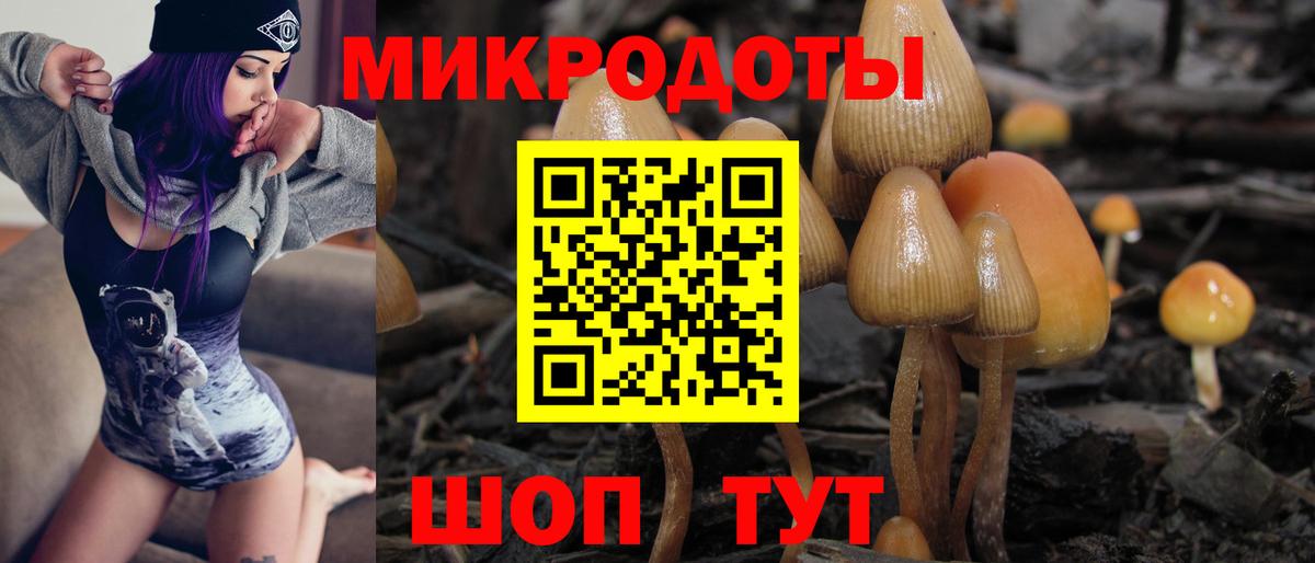 Лосино-Петровский  Псилоцибиновые грибы мицелий  Вход с VPN  Галлюциногенные грибы ЛСД 