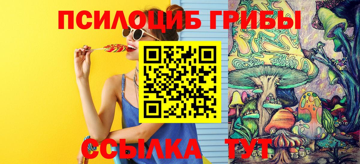Галлюциногенные грибы прущие грибы Лосино-Петровский
